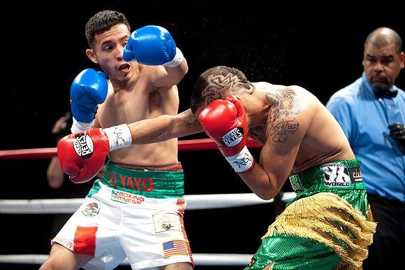 Boxing 2013 - Shot for ISM