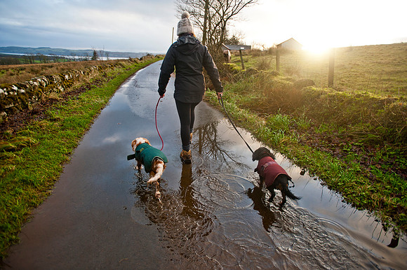 A Walk 2014