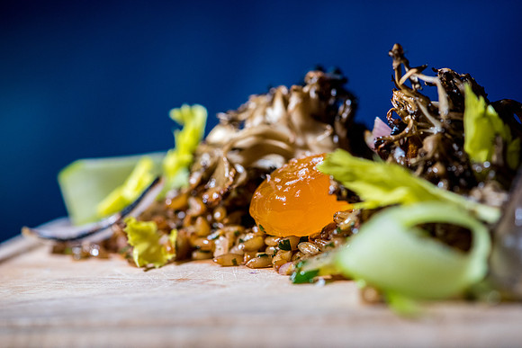 Food prepared by Chef Nich Bazik at The Good King Tavern, Philadelphia. 2016